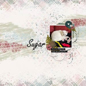 Sugar