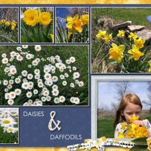 Daisies and daffodills