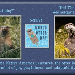 World Otter Day