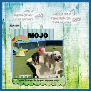 2024-05-29 Mojo Pool