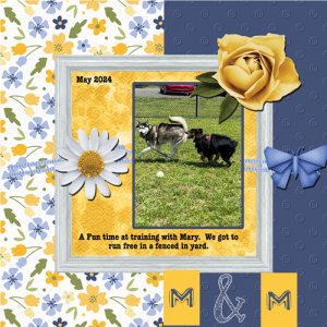 2024-05-29-M + M Training