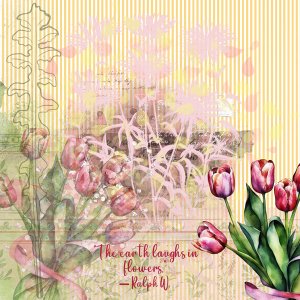 Tulips