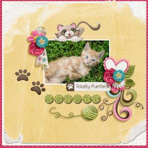 Pawsitively-Purrfect-kristm