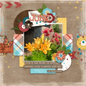 June Lilies