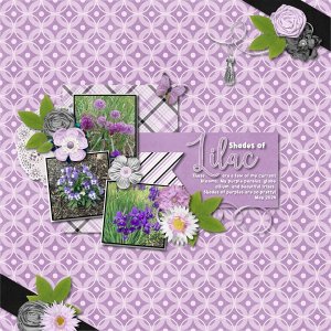 Shades of Lilac