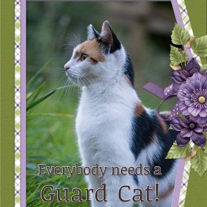 Everybody needs a GUARD CAT!