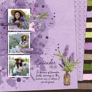 Lavender Fields