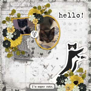 Makes Me Happy Kitten with A Special Time In Spring Temp-CarolW