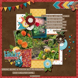 _Flower Garden_