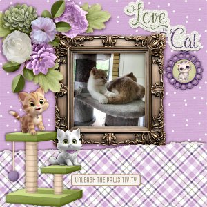 600-adbdesigns-feline-fur-baby-pia-02