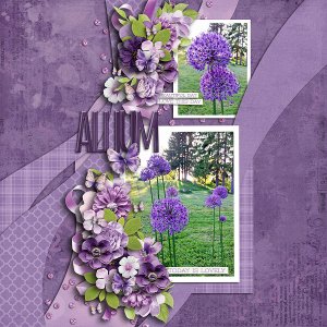 Allium