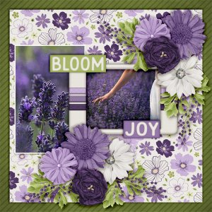 Bloom49