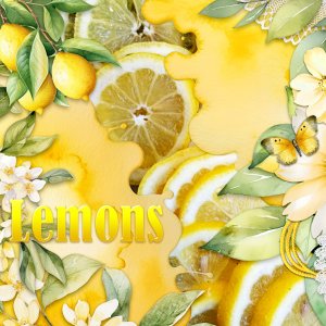 ID_WhenLifeGivesYouLemons-