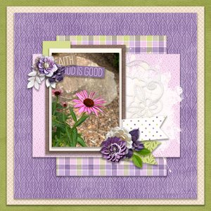 Coneflower