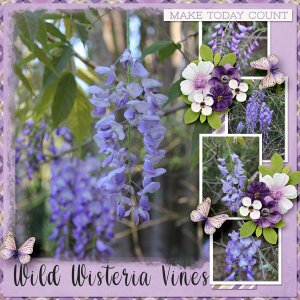 Wild Wisteria Vines