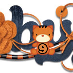 BengalsPreseason