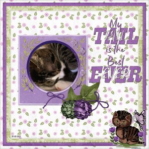 My tail is the best!