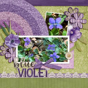 Blue Violets