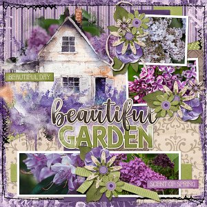 Beautiful Garden