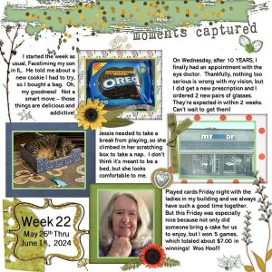 Project 365 Challenge - Week 22