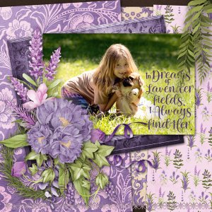 Lavender dreams