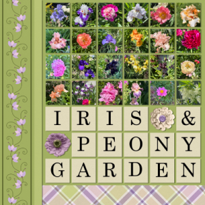 Garden Walk