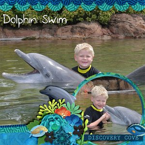 dolphin-swim-923
