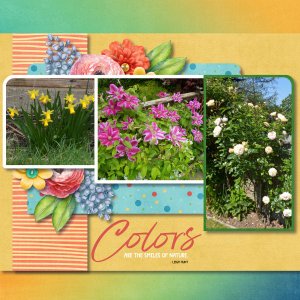 Colors are the smiles of nature