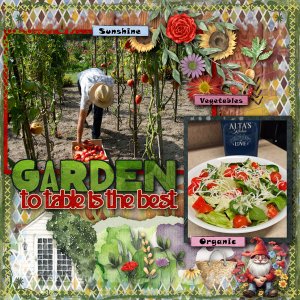 Summer Garden