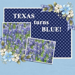 Texas turns BLUE!