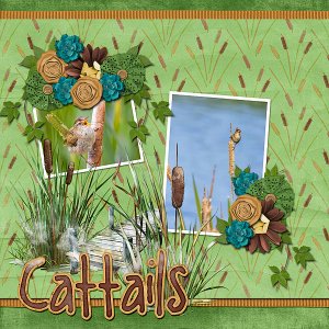 Cattails
