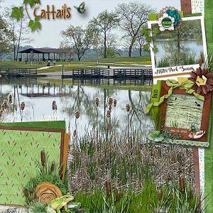 Cattails of the MetroPark