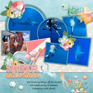 Snorkel with Pics Galore Temps 40-Connie Prince