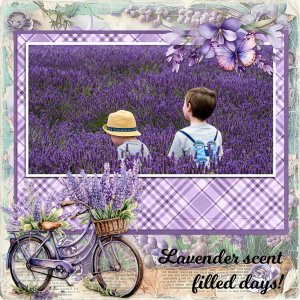 Lavender scent filled days!