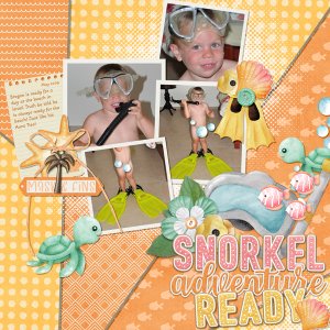 Snorkel bundle from Designs by Connie Prince
