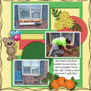 Flower Windo Box