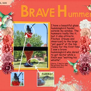 Brave Hummer