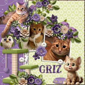 Griz