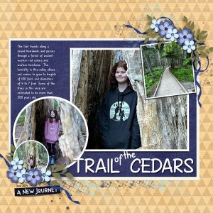 Trail of the Cedars