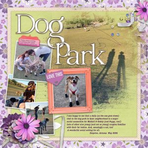 Dog (+ Cat?) Park
