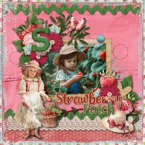 Strawberry Patch