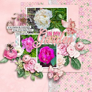 Garden-Flowers