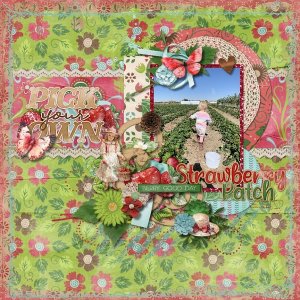 Strawberry Patch