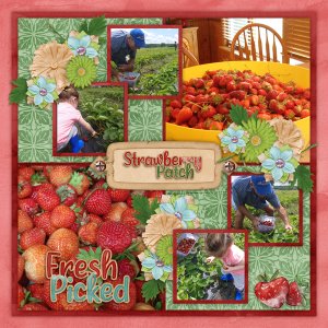 Clean And Simple 5 Temp #1-Tinci Strawberry Patch-Aimee