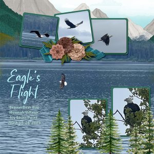 Eagle's Flight