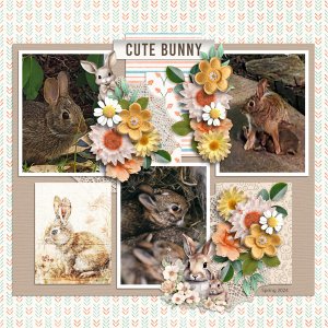 Cute Baby Bunnies 2024