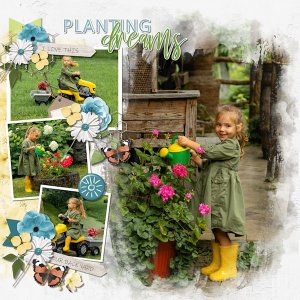 Planting dreams
