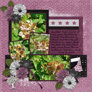 Fun With Four Templates 8 #1 with Paint Chips Blackberry-Connie Prince