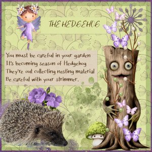 The Hedgehog