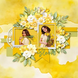 In Bloom
